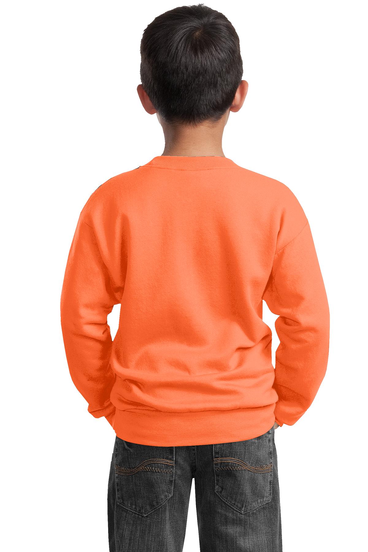 Port & Co Youth Core Fleece Crewneck Sweatshirt-2
