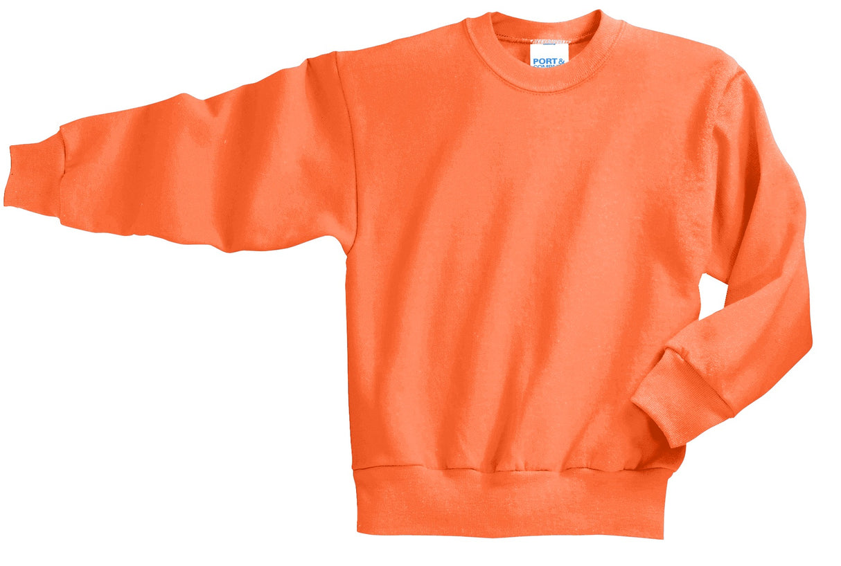 Port & Co Youth Core Fleece Crewneck Sweatshirt-3