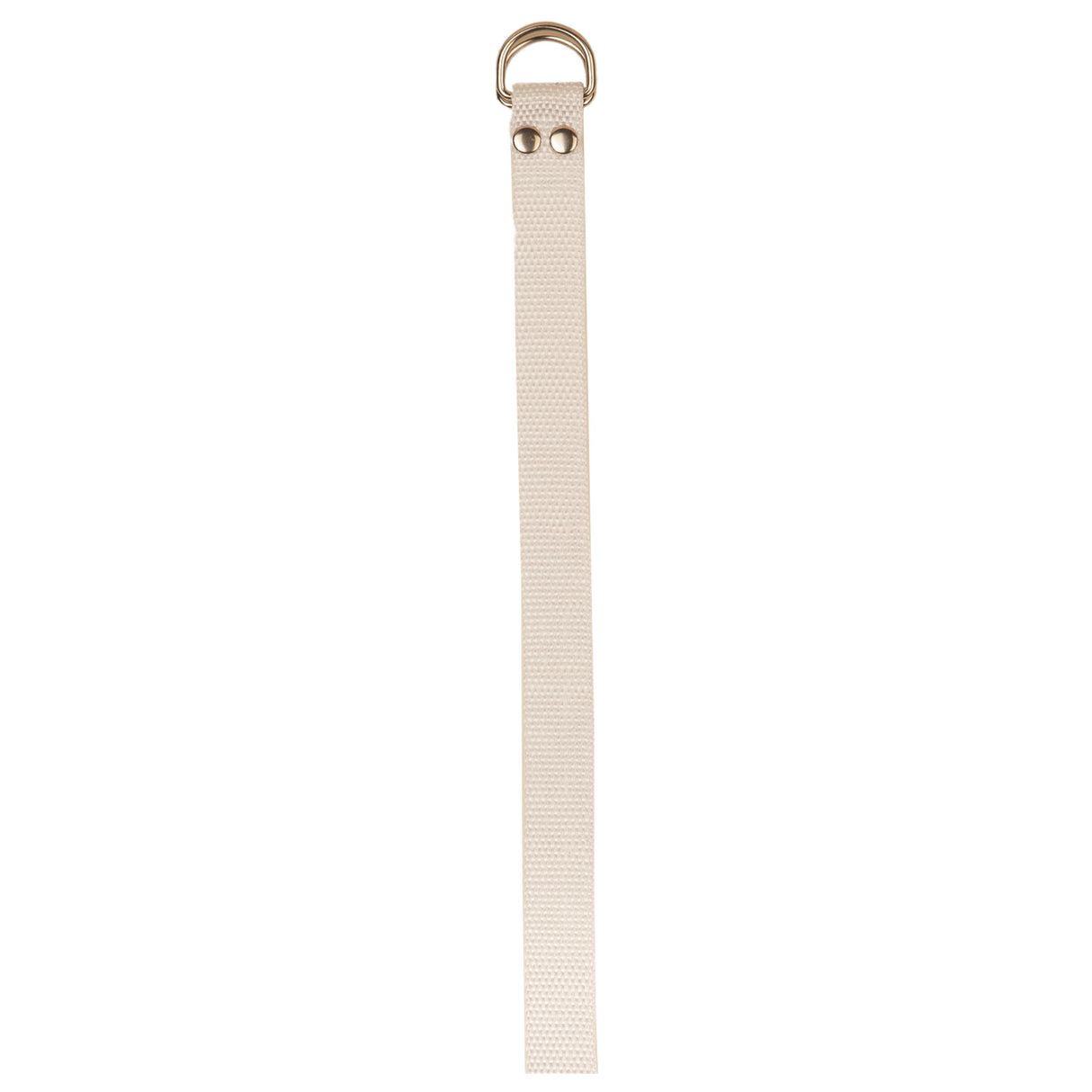 Champion Sports Football Belt