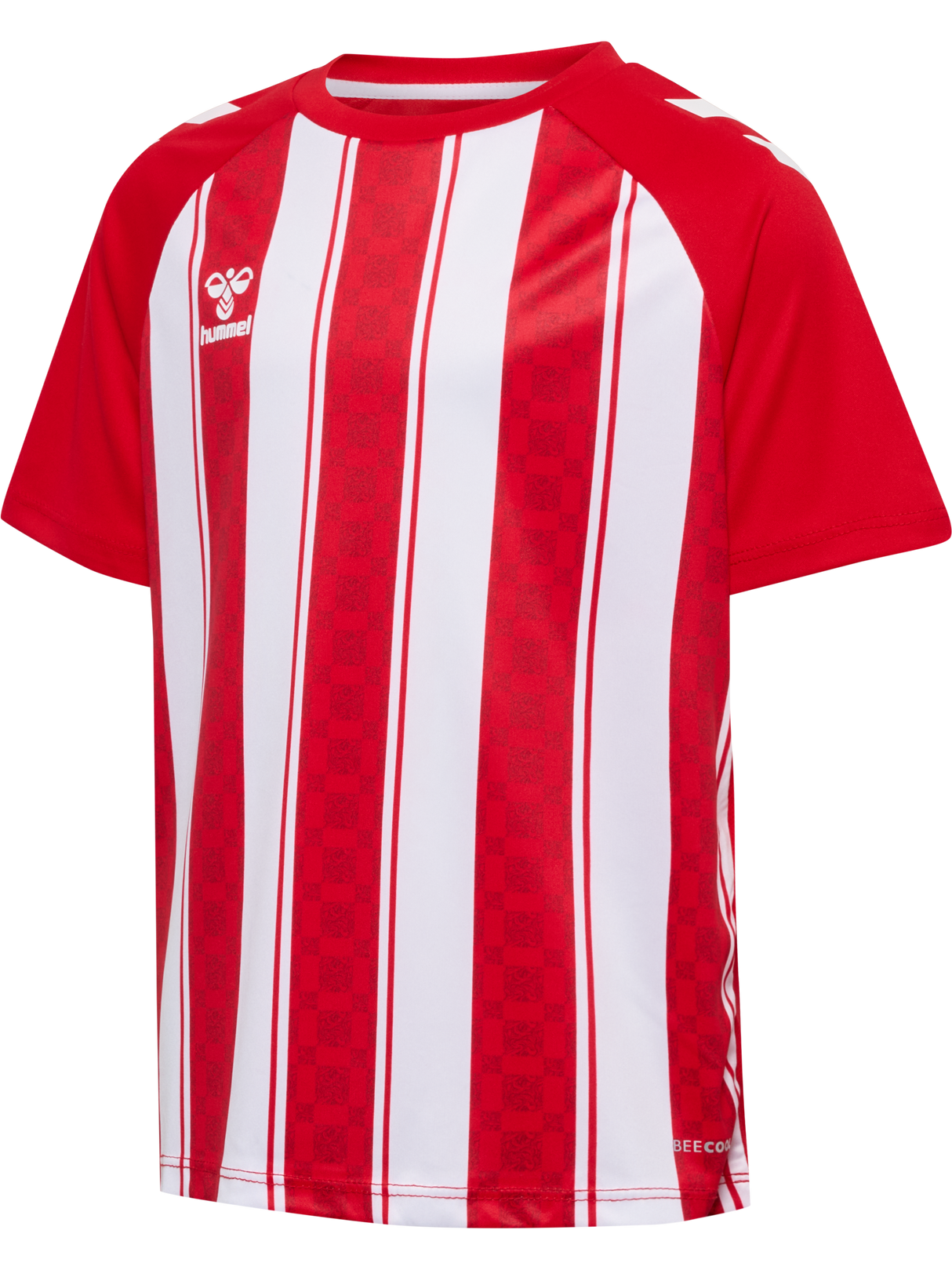 hummel Youth Match Striped Short Sleeve Jersey-1
