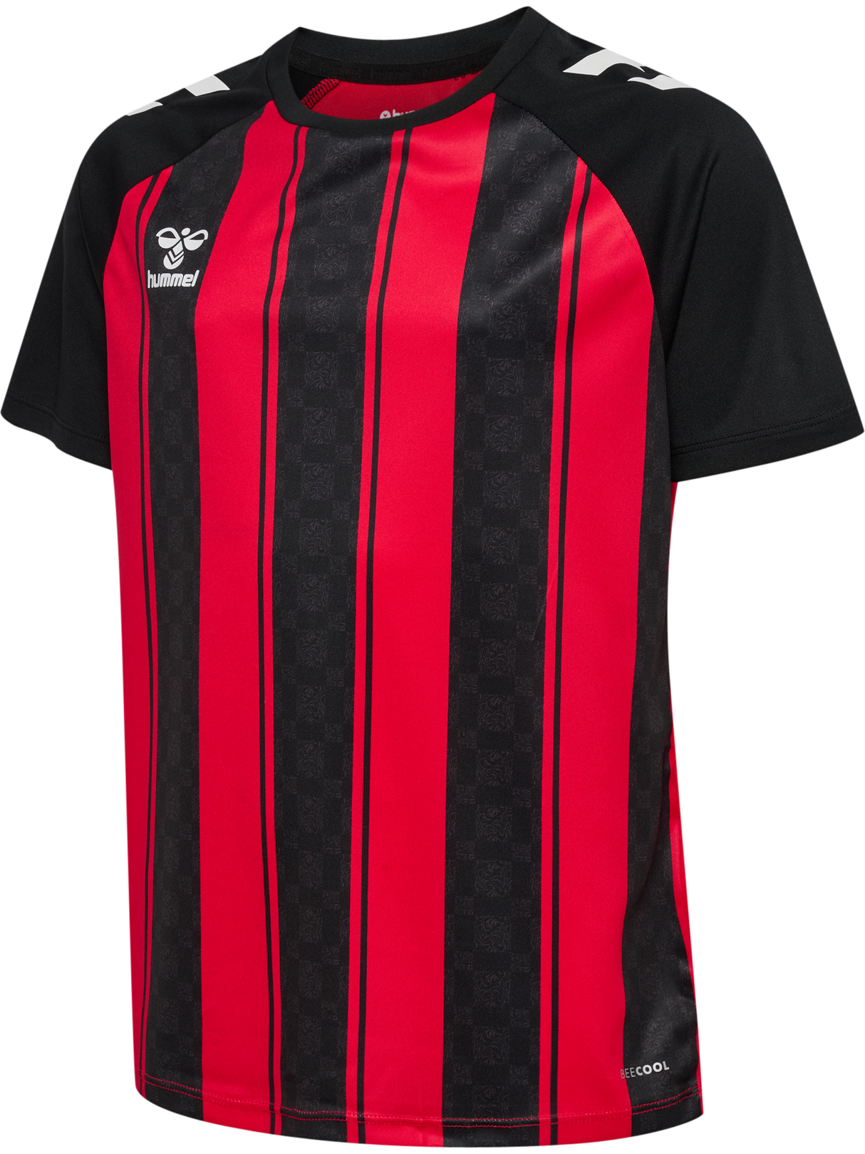 hummel Youth Match Striped Short Sleeve Jersey-1