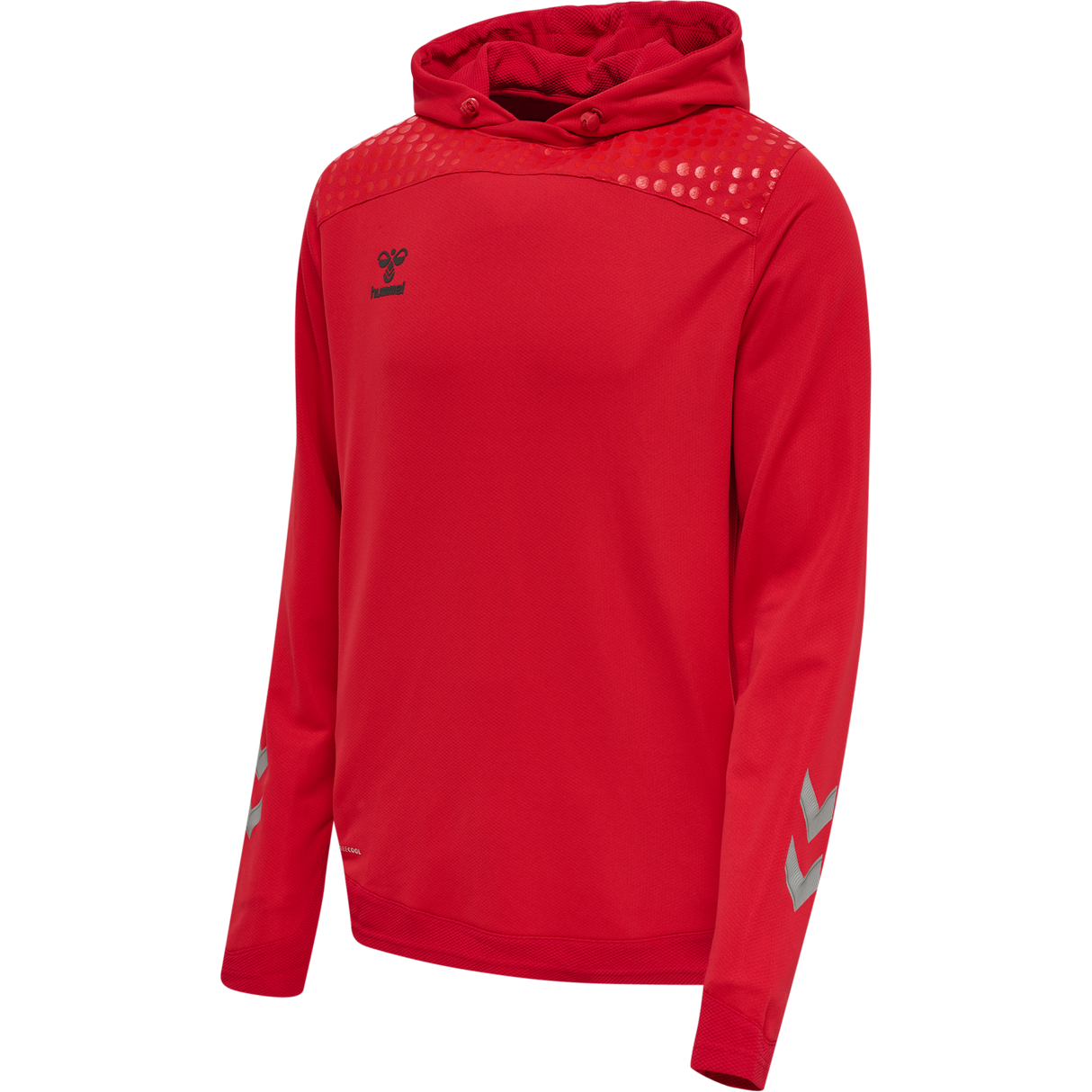 hummel Men's Lead Poly Hoodie-1