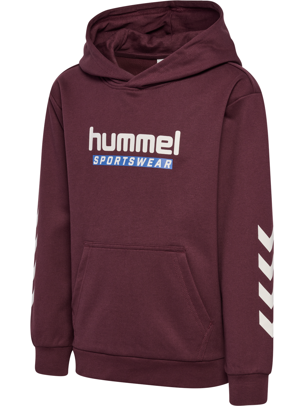 hummel Youth Logo Hoodie-1