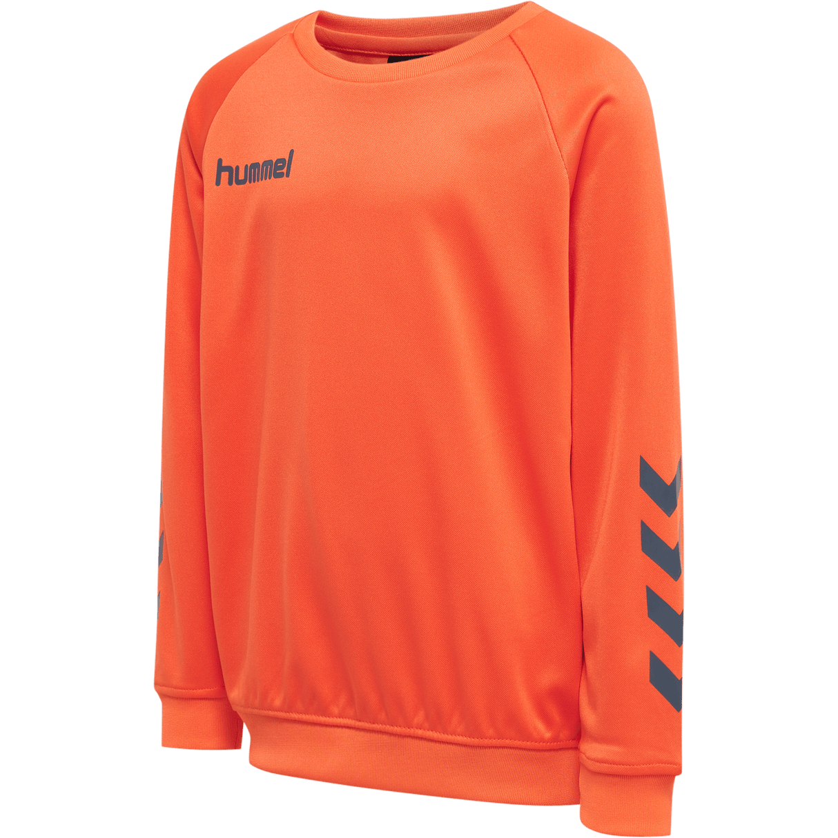 hummel Youth Promo Poly Sweatshirt-1