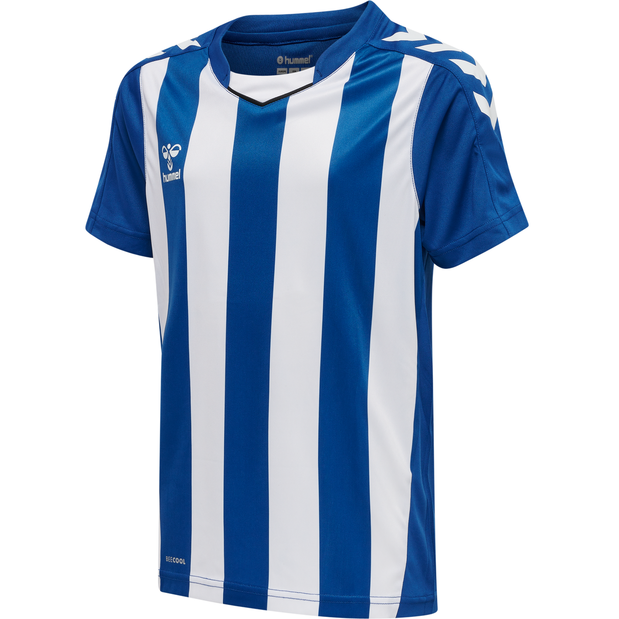hummel Youth Core XK Striped Short Sleeve Jersey-1