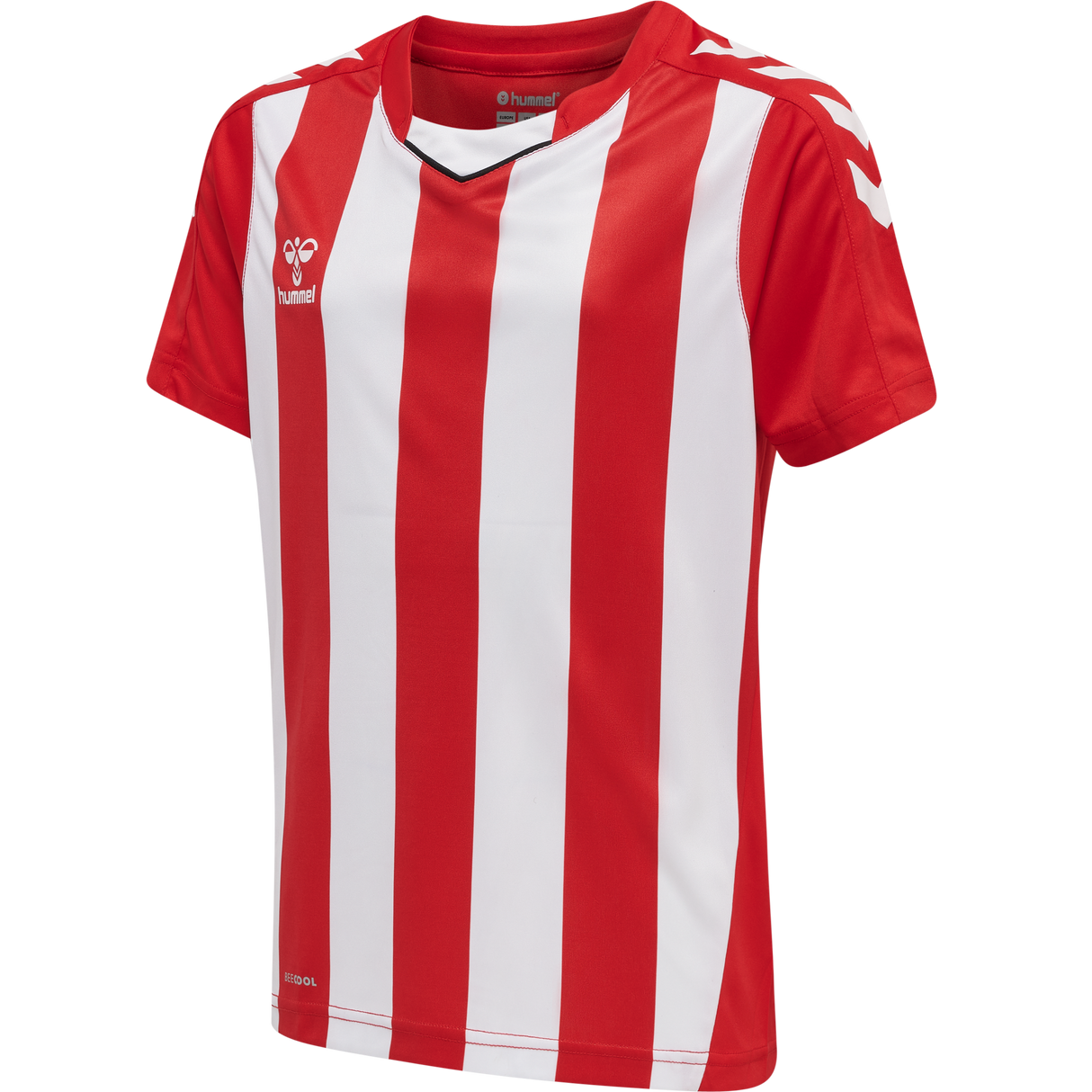 hummel Youth Core XK Striped Short Sleeve Jersey-1