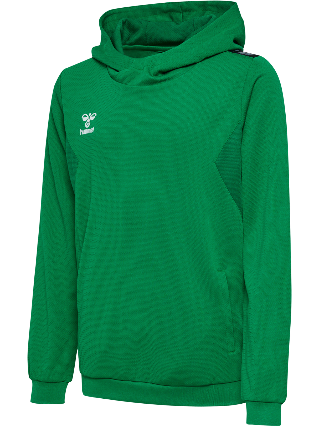 hummel Youth Authentic Polyester Hoodie-1