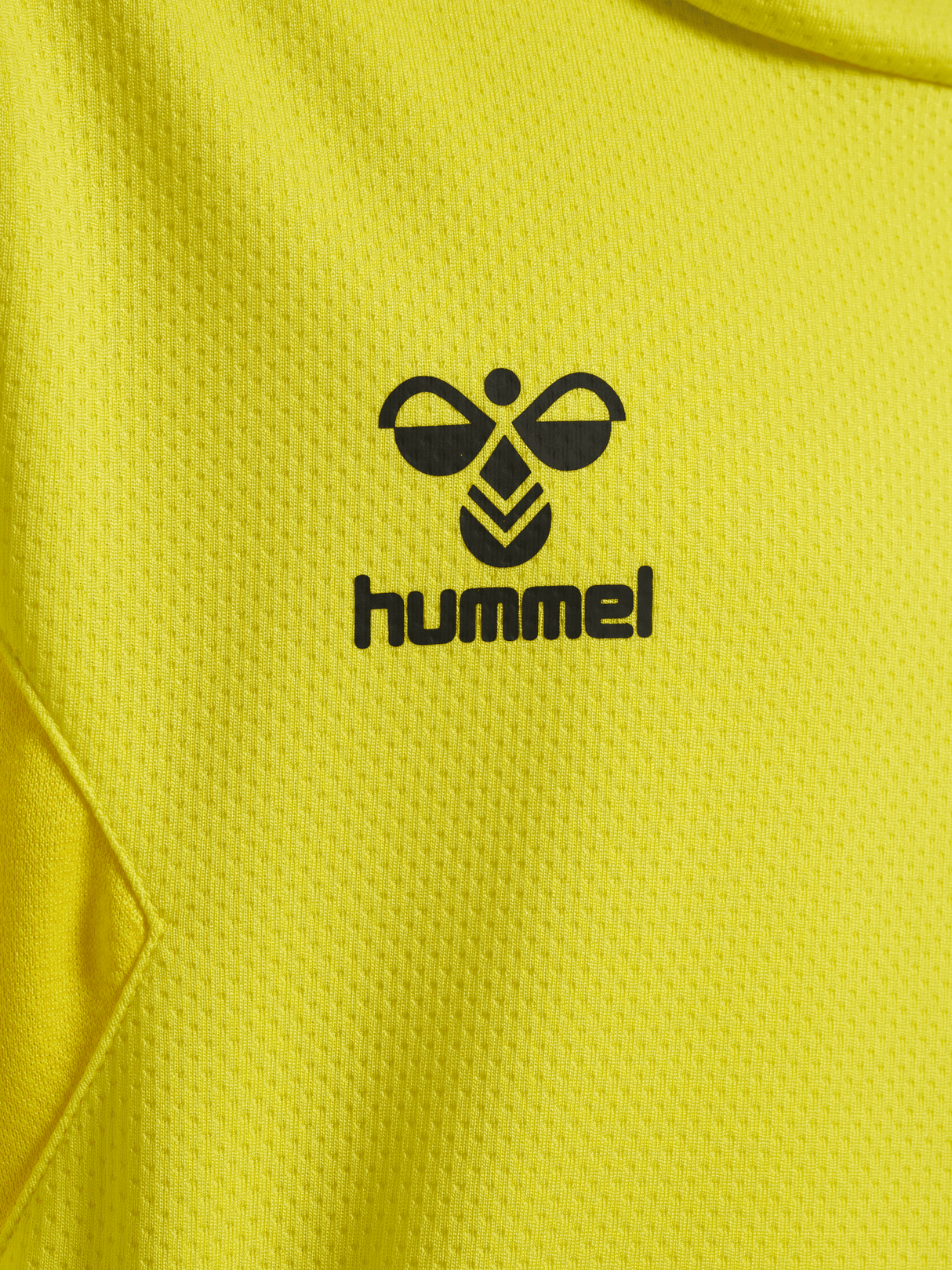 hummel Youth Authentic Polyester Hoodie-3