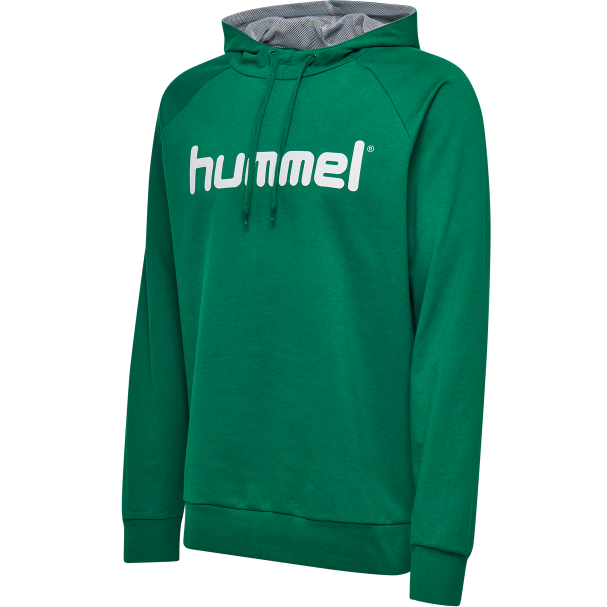 hummel Men's Go Cotton Logo Hoodie-1