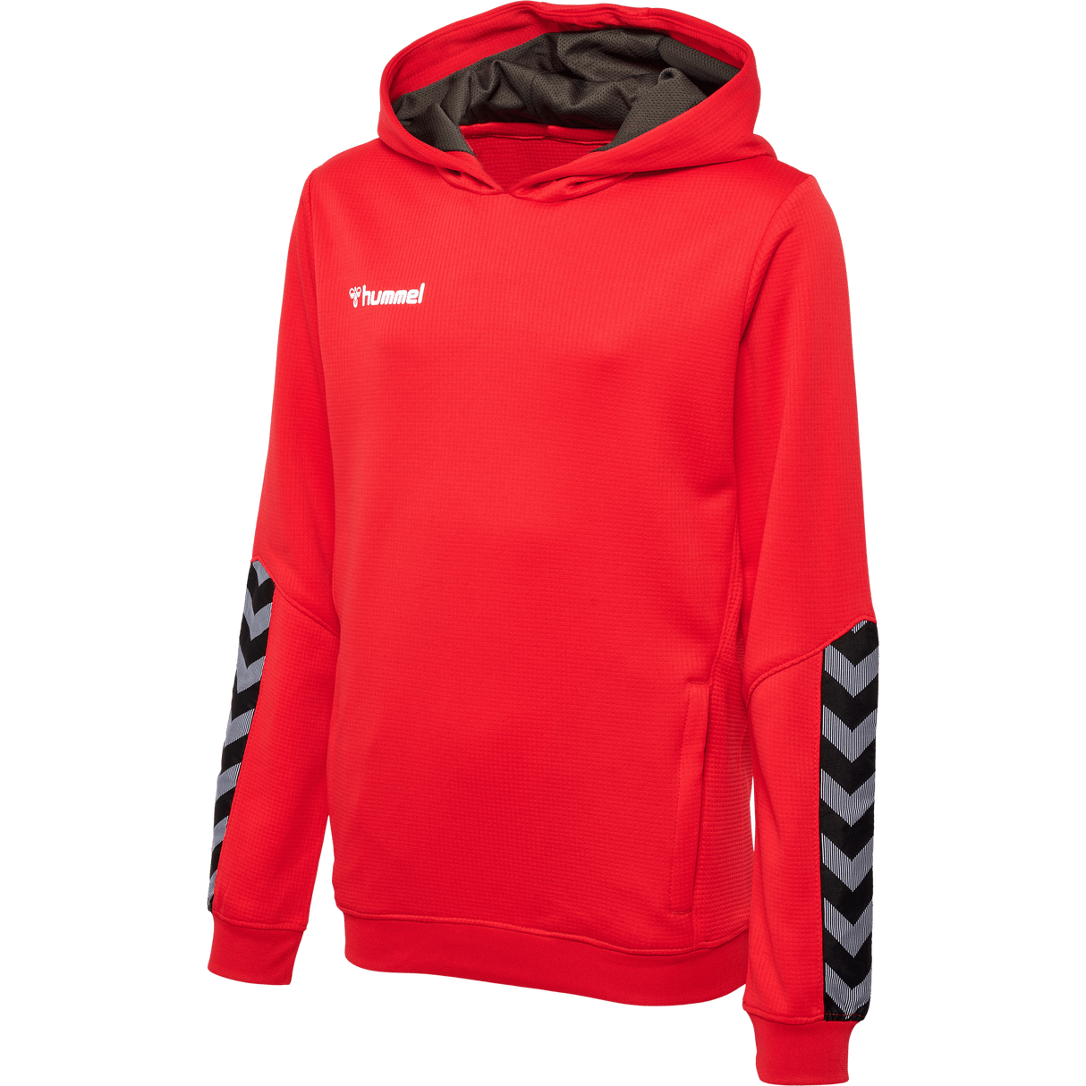 hummel Youth Authentic Poly Hoodie-1