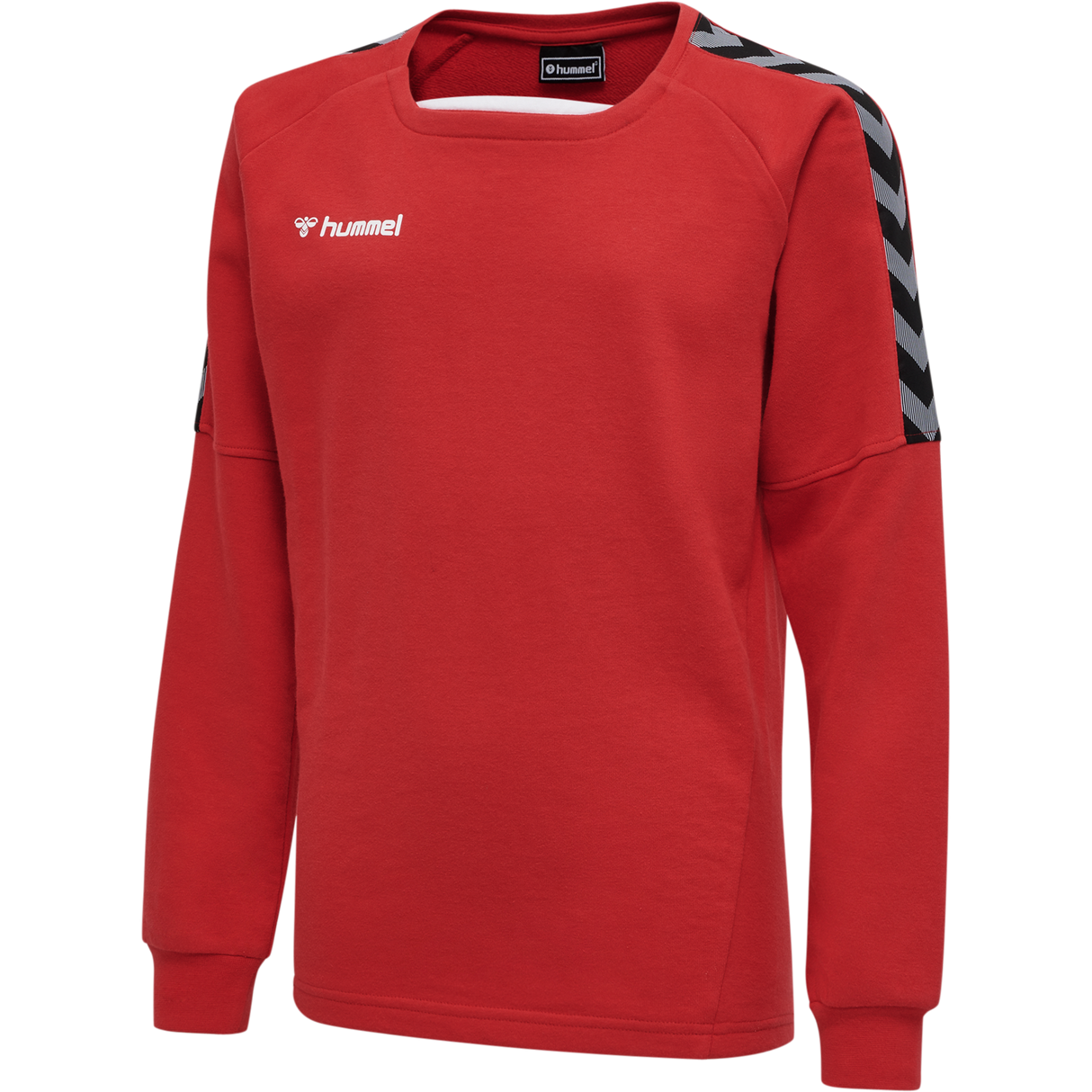 hummel Youth Authentic Training Sweatshirt-1