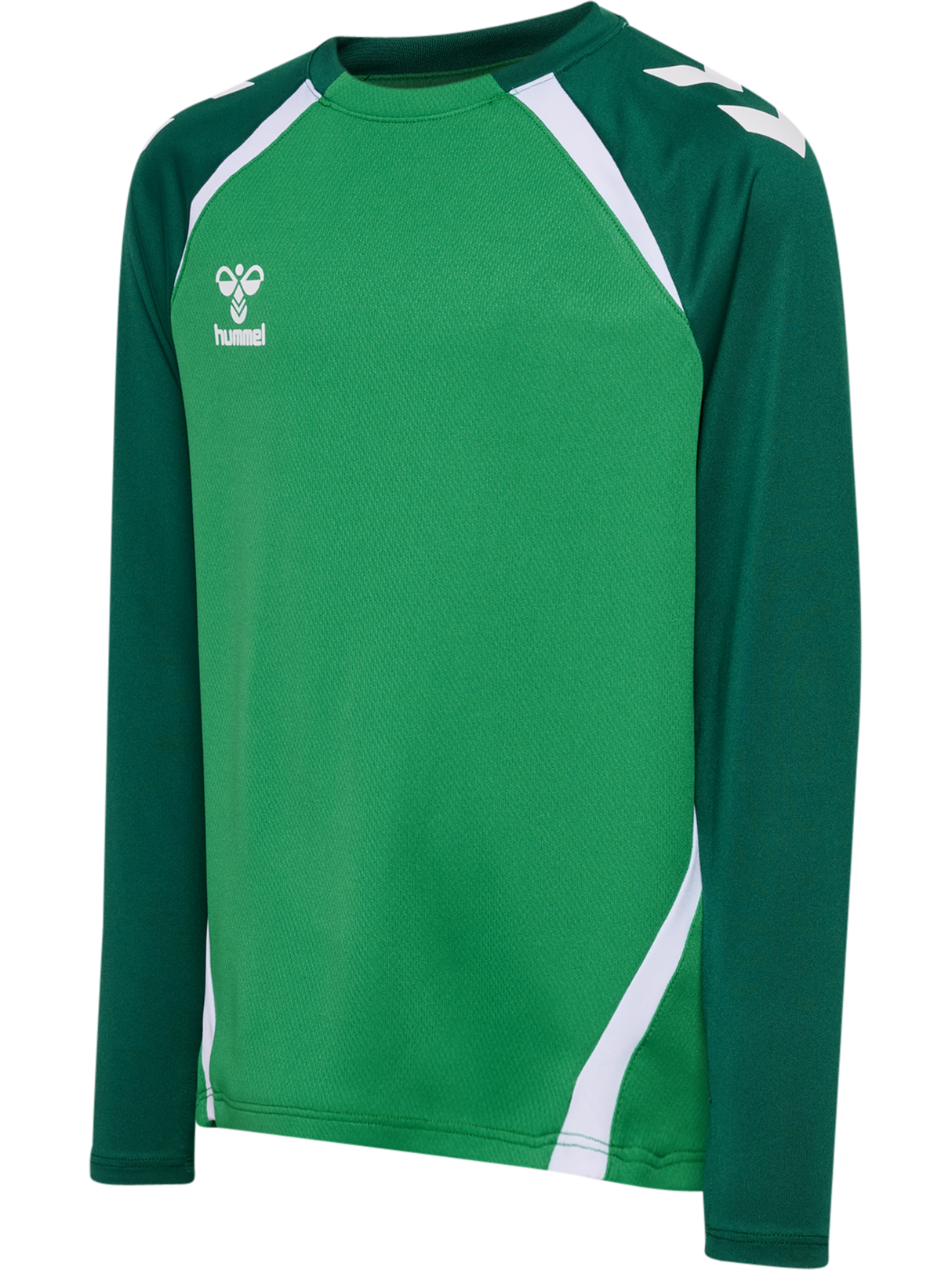 hummel Youth Lead 2.0 Crew Sweatshirt-1