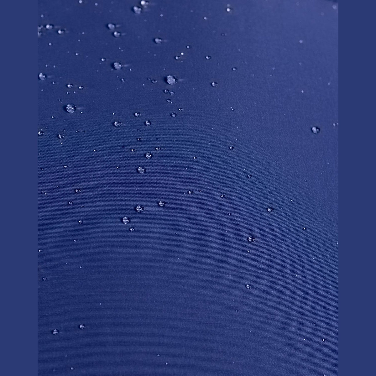 367909200.jpg