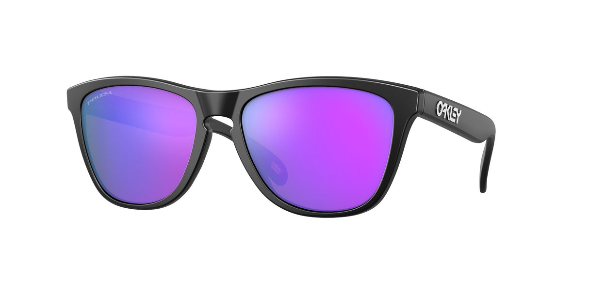 Oakley Frogskins Glasses-1