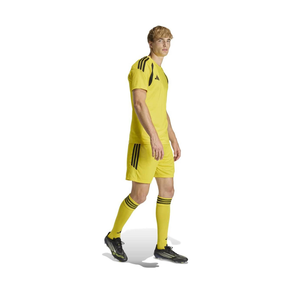 370071312.jpg