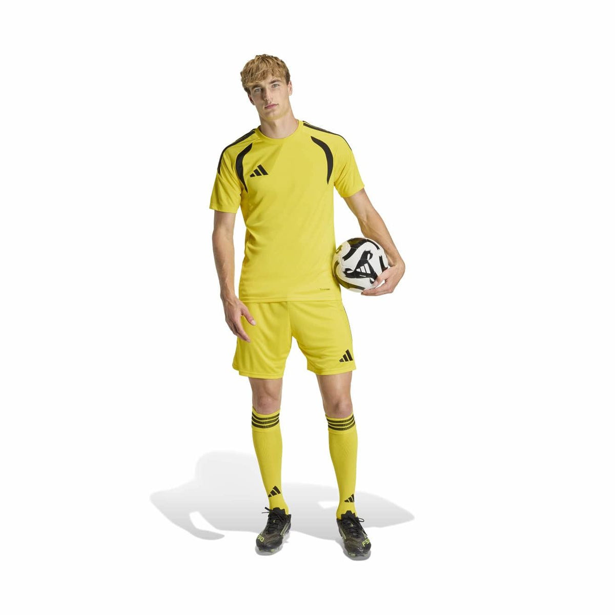 370071313.jpg