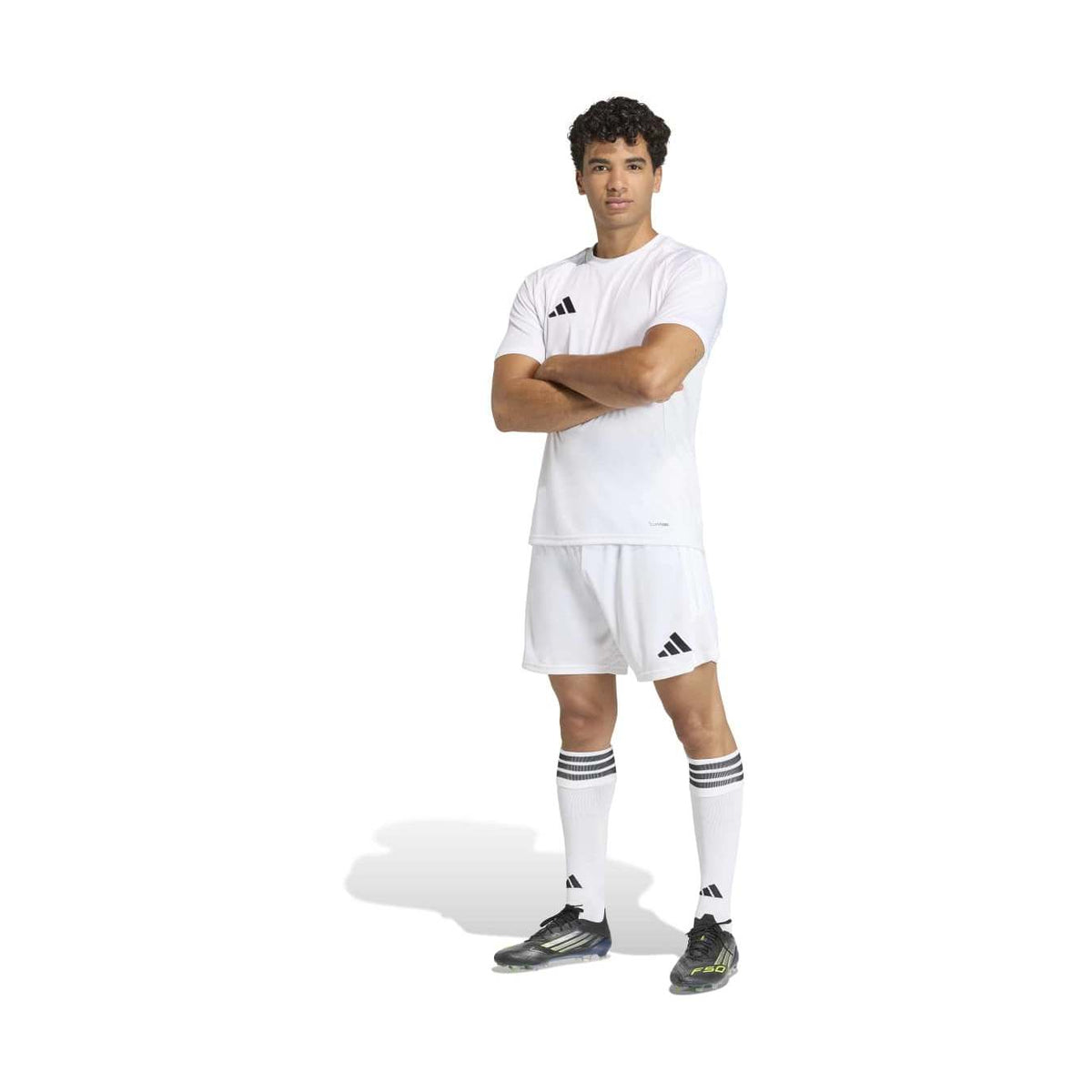 370071323.jpg