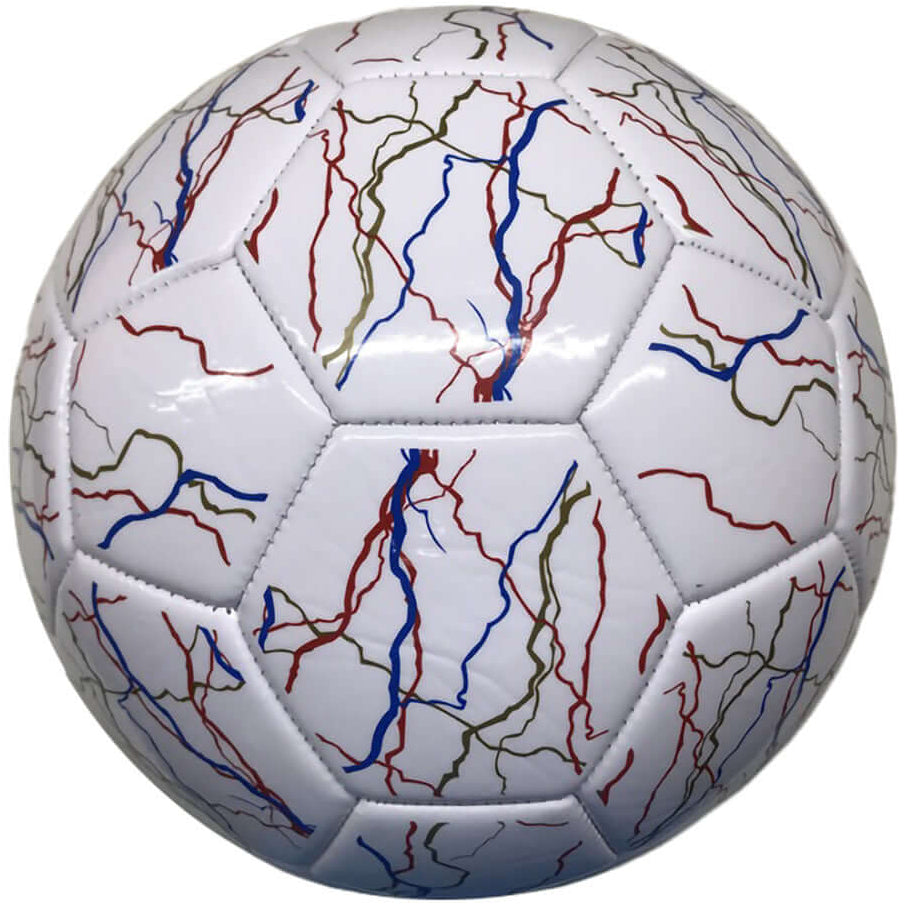 Vizari Zodiac Soccer Ball-2