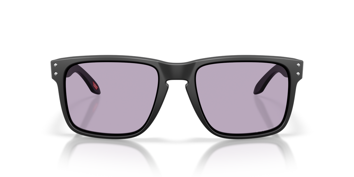 Oakley Holbrook XL Glasses-8