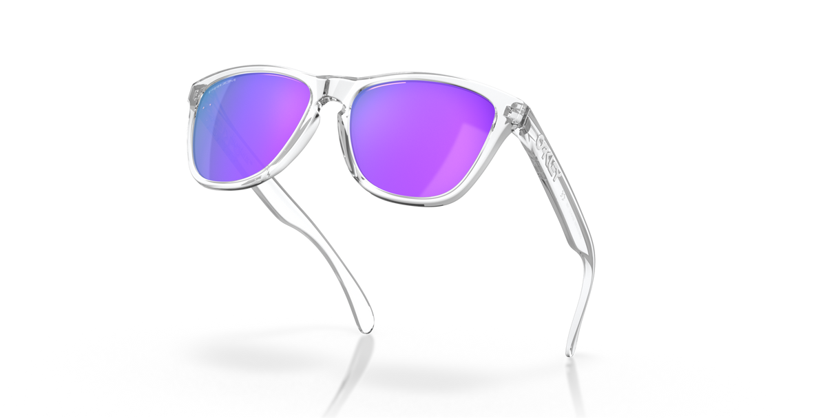 Oakley Frogskins Glasses-9