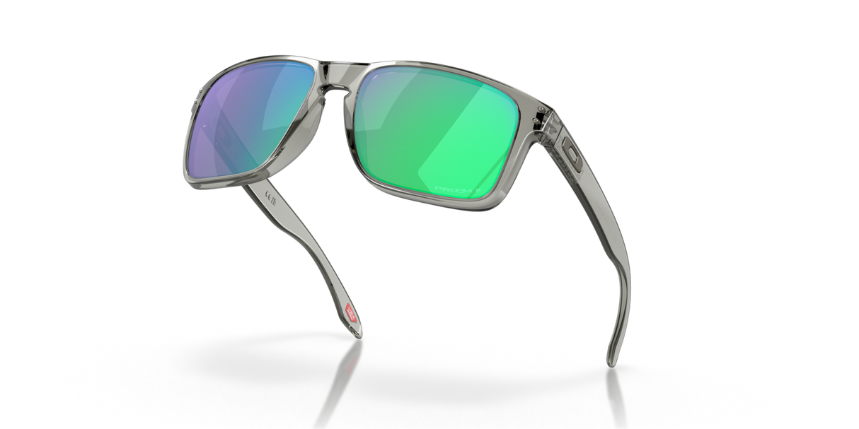 Oakley Holbrook XL Glasses-9