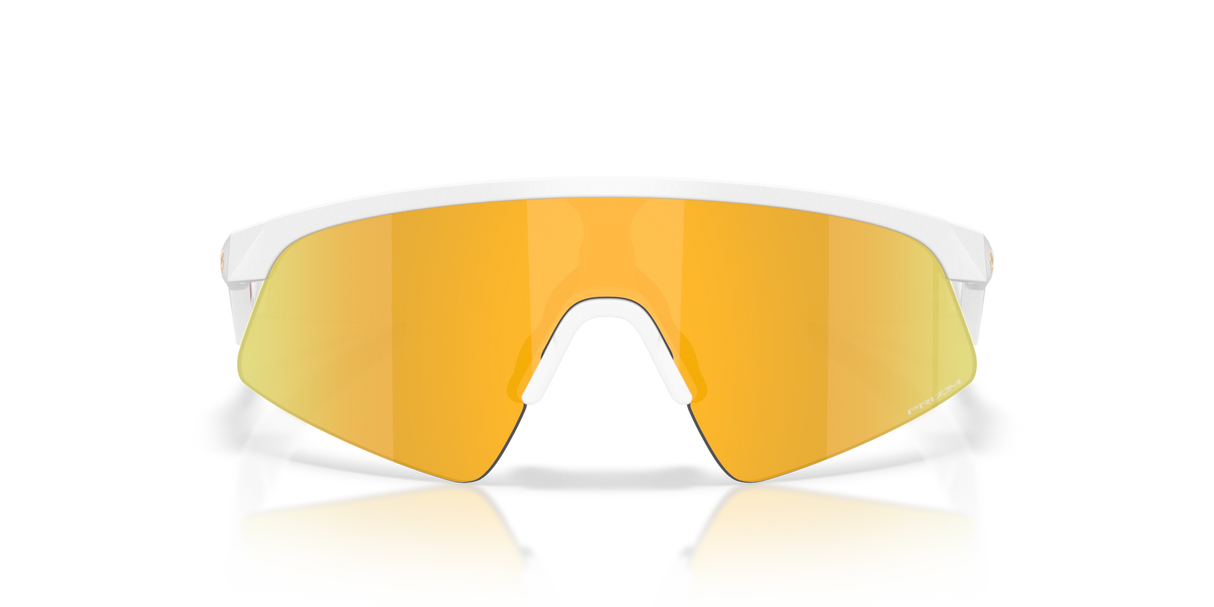 Oakley Resistor Sweep Sunglasses-8