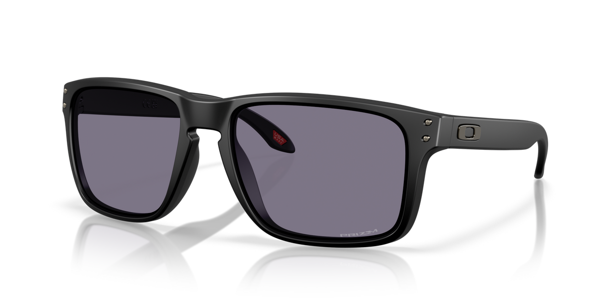 Oakley Holbrook XXL Glasses-2