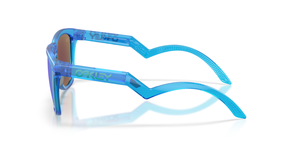 Oakley Frogskins Hybrid Glasses-3