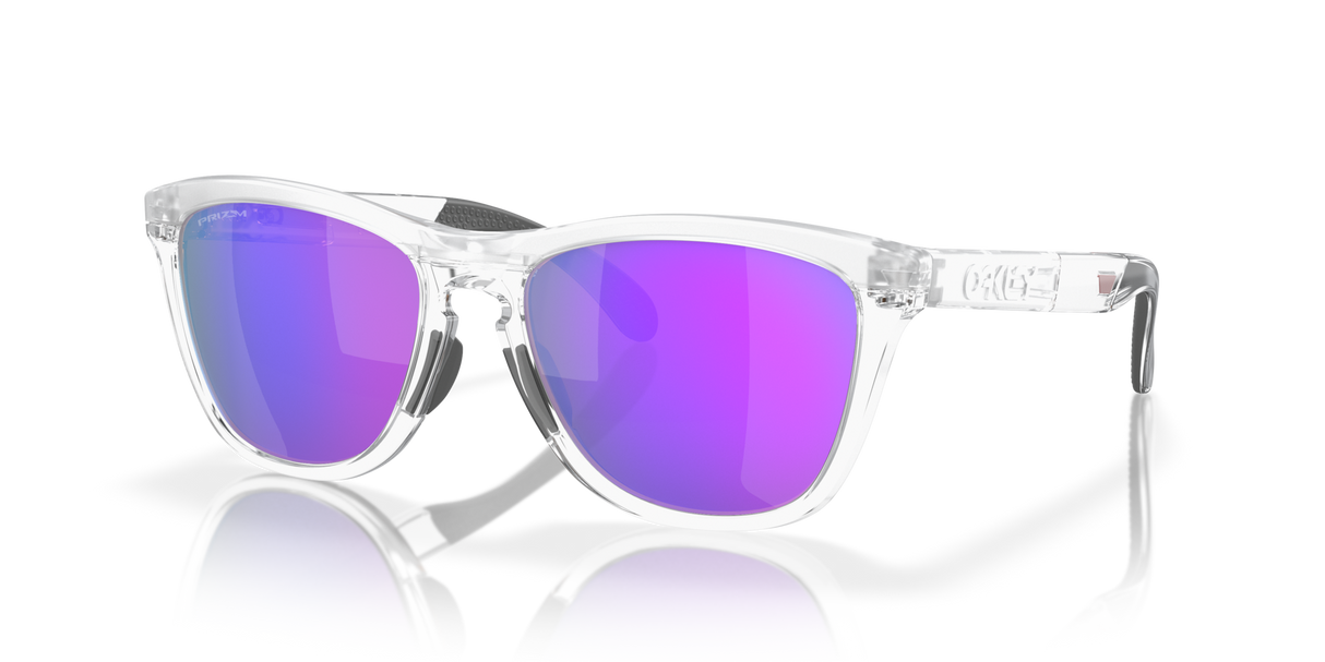 Oakley Frogskins Range Glasses-2