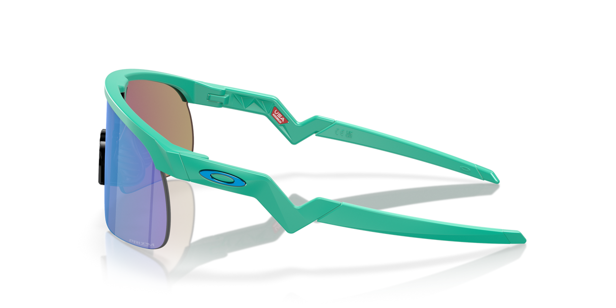 Oakley Resistor Sunglasses-3