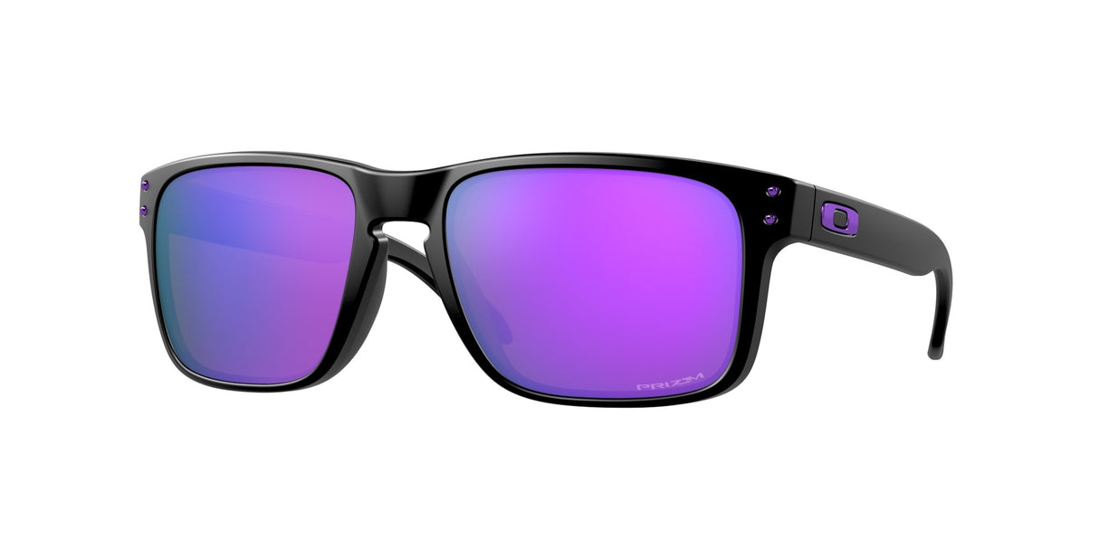 Oakley Holbrook Glasses-1