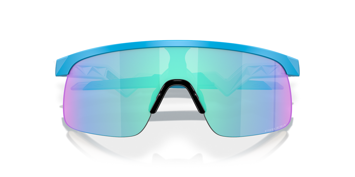 Oakley Resistor Sunglasses-9