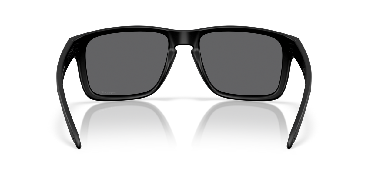 Oakley Holbrook XXL Glasses-4