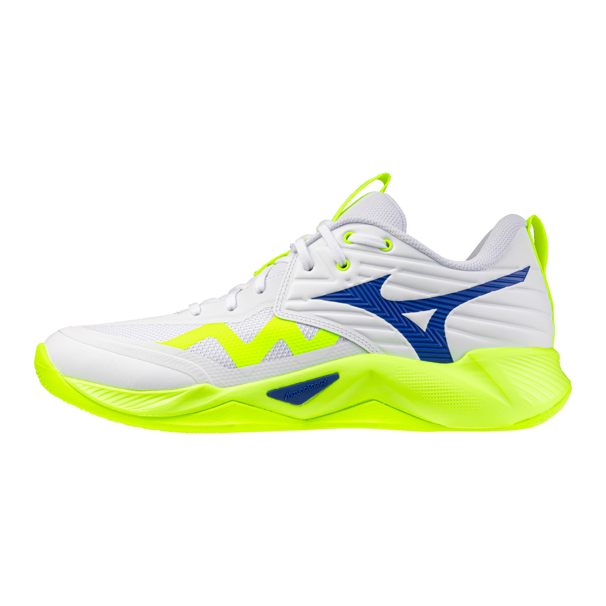 Mizuno Women's Wave Momentum 4 Pro Sam Volleyball Shoes-1