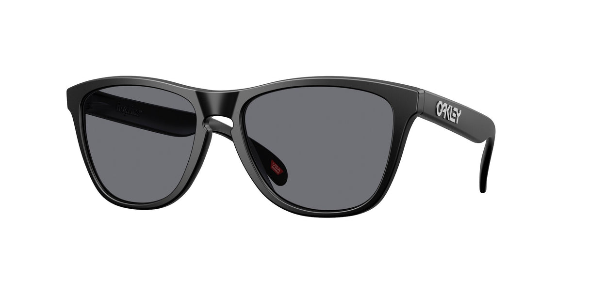 Oakley Frogskins Glasses-1