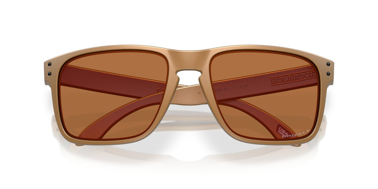 Oakley Holbrook XL Glasses-9
