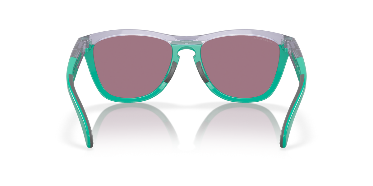 Oakley Frogskins Range Glasses-4