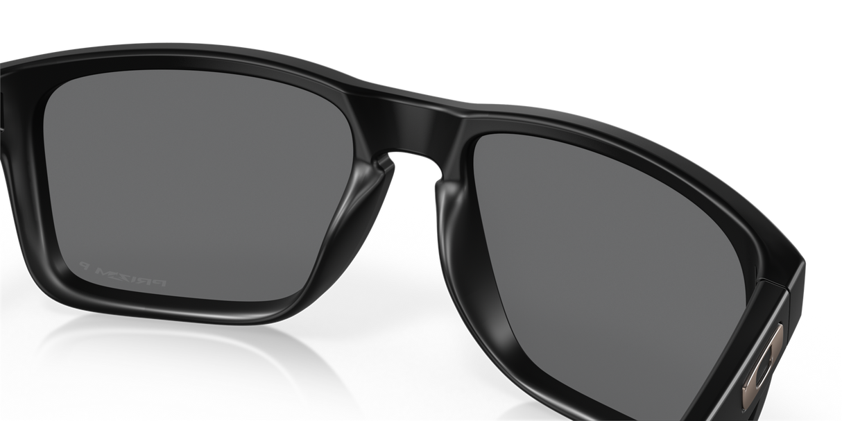 Oakley Holbrook XL Glasses-11