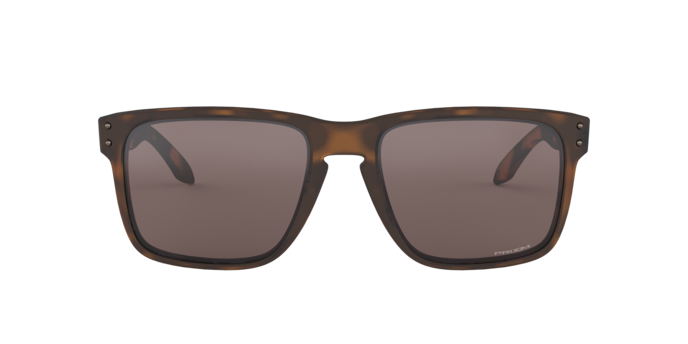 Oakley Holbrook XL Glasses-2