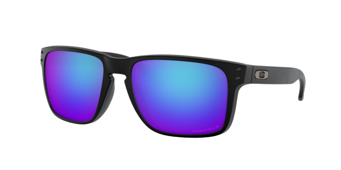 Oakley Holbrook XL Glasses-5