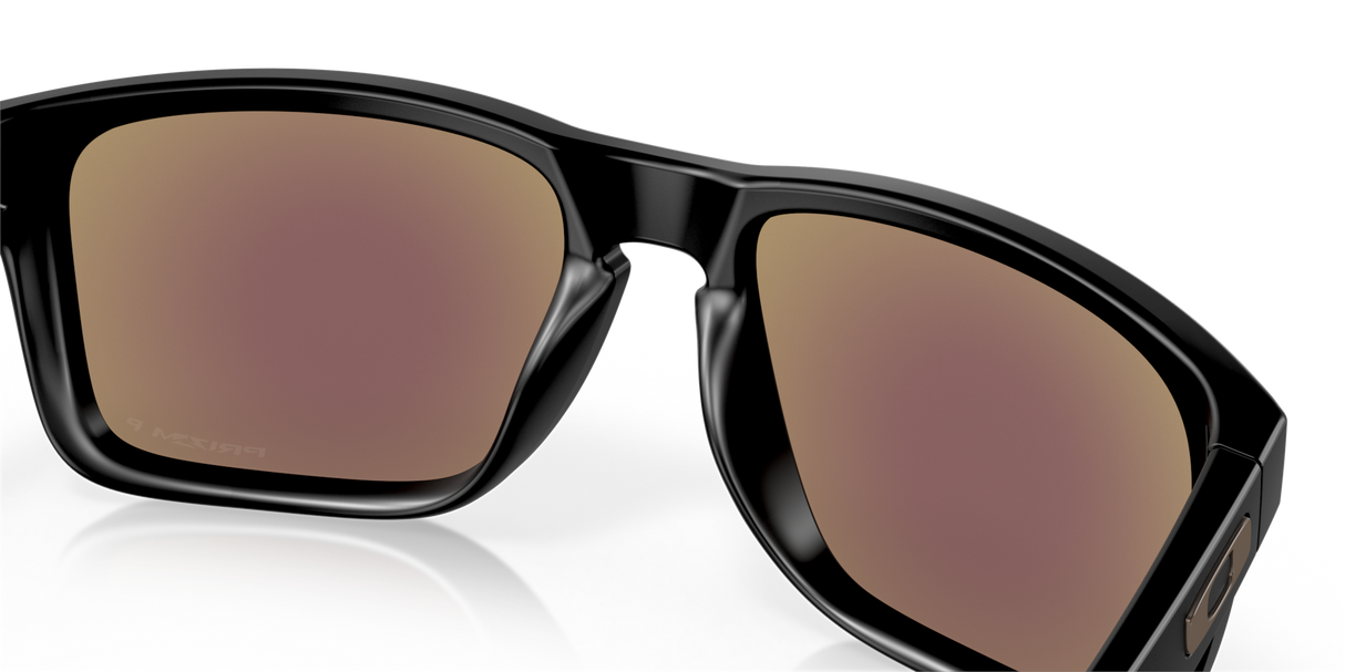 Oakley Holbrook XL Glasses-10