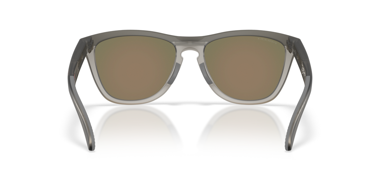 Oakley Frogskins Range XL Glasses-4