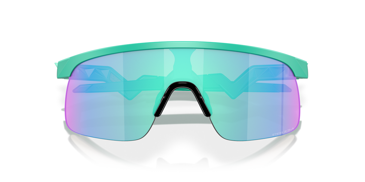 Oakley Resistor Sunglasses-9