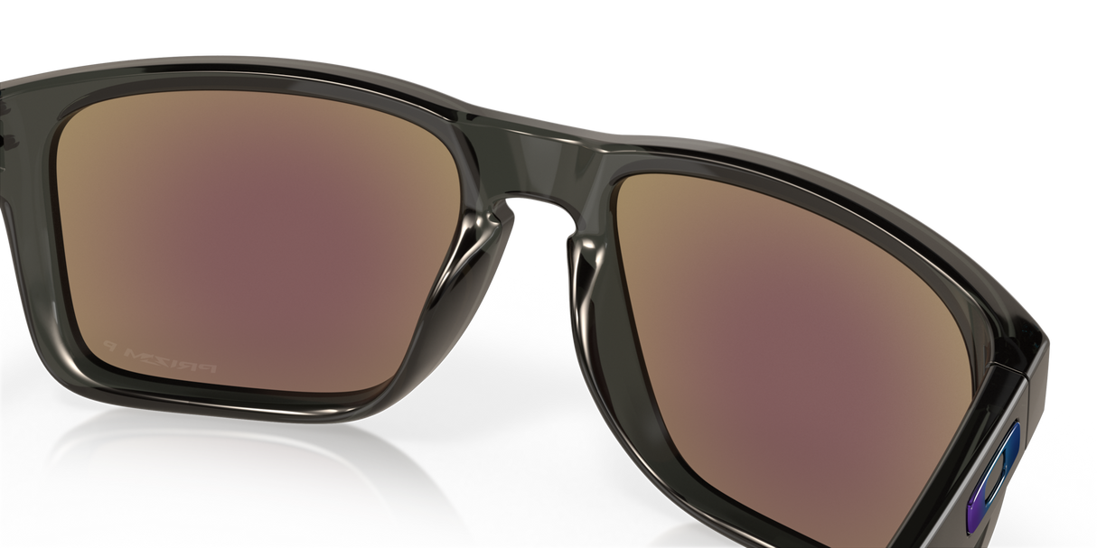 Oakley Holbrook XL Glasses-11