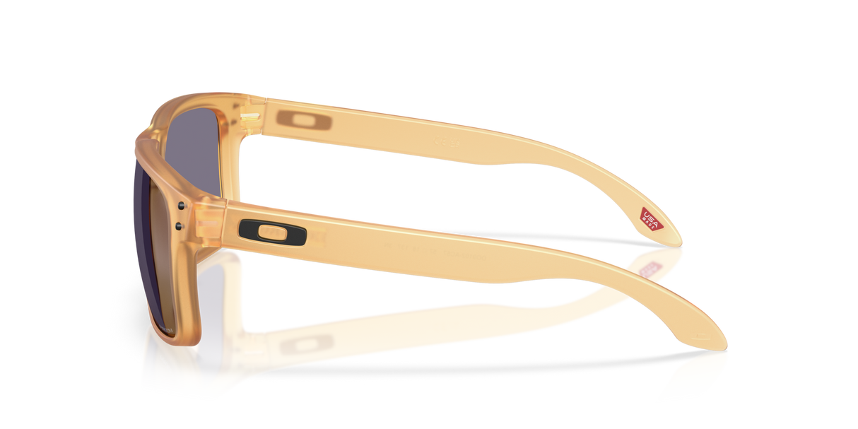 Oakley Holbrook Glasses-3