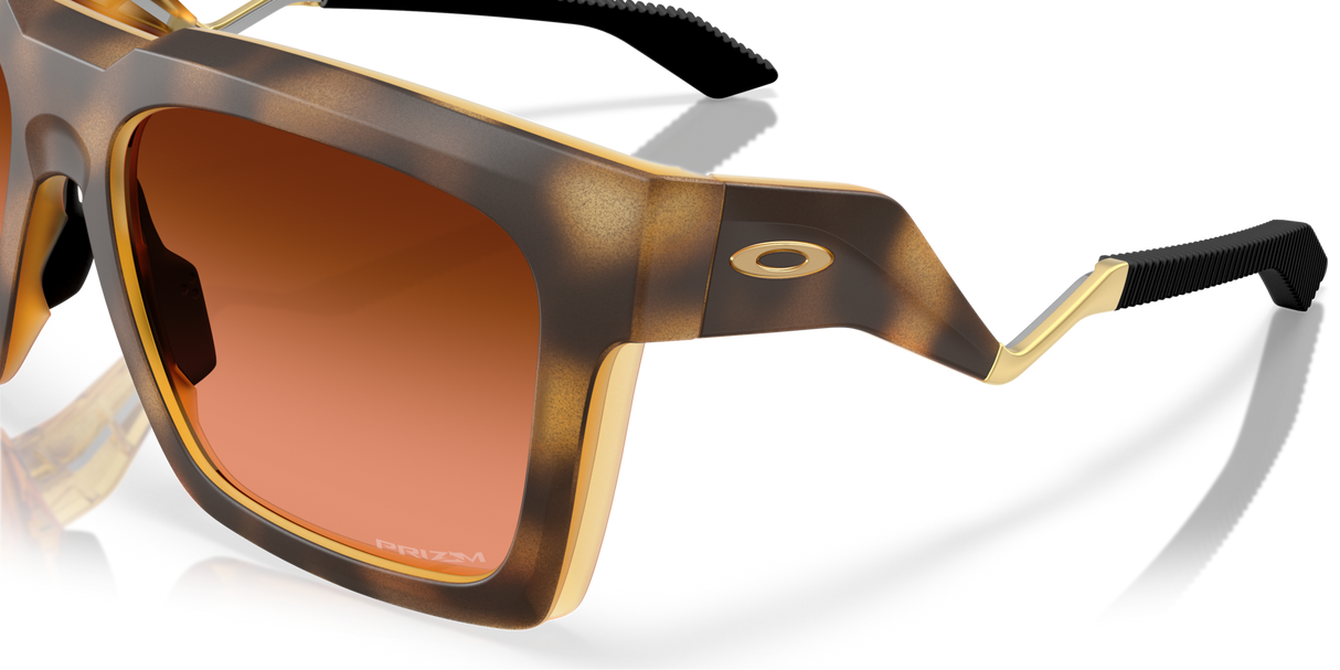 Oakley Enigma Ink Glasses-6