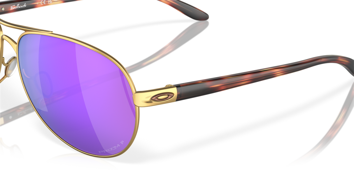 Oakley Feedback Glasses-10