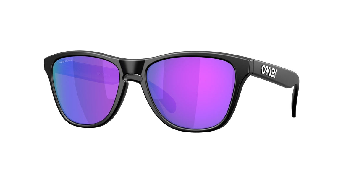 Oakley Frogskins S Glasses-1