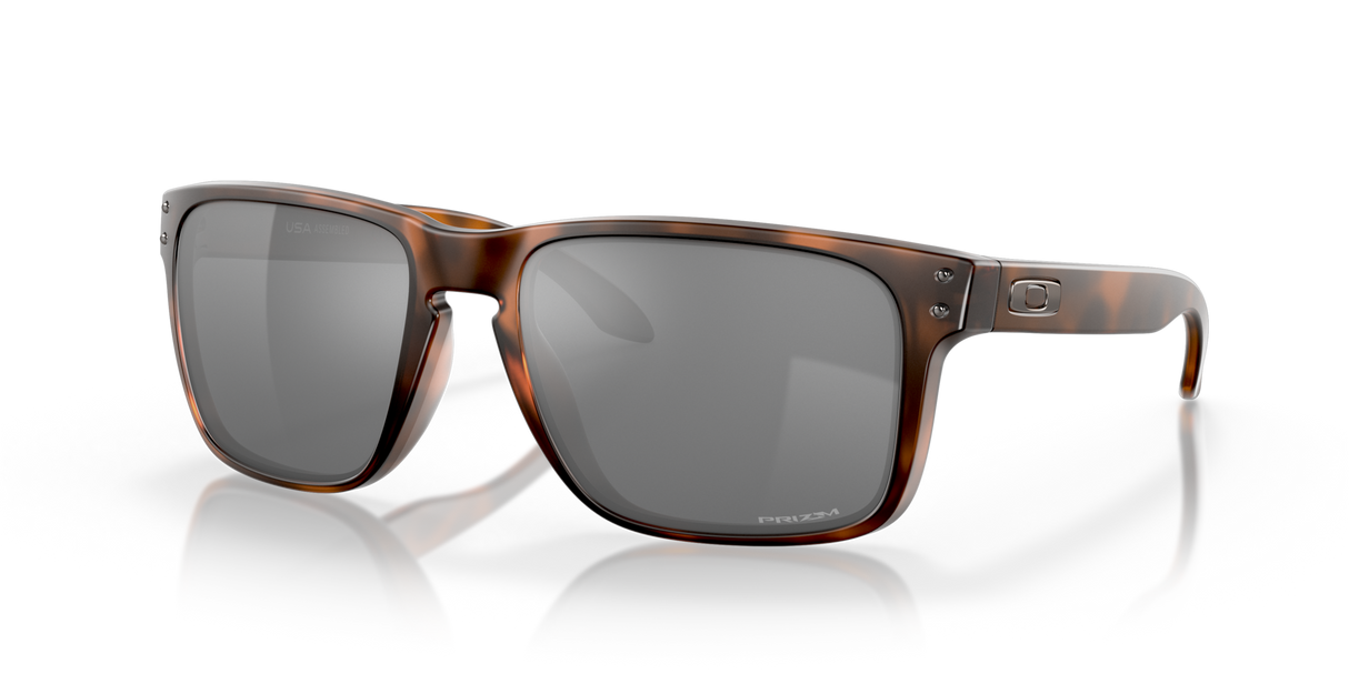Oakley Holbrook XL Glasses-3