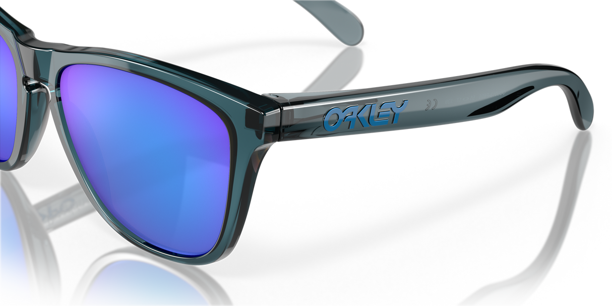 Oakley Frogskins Glasses-10